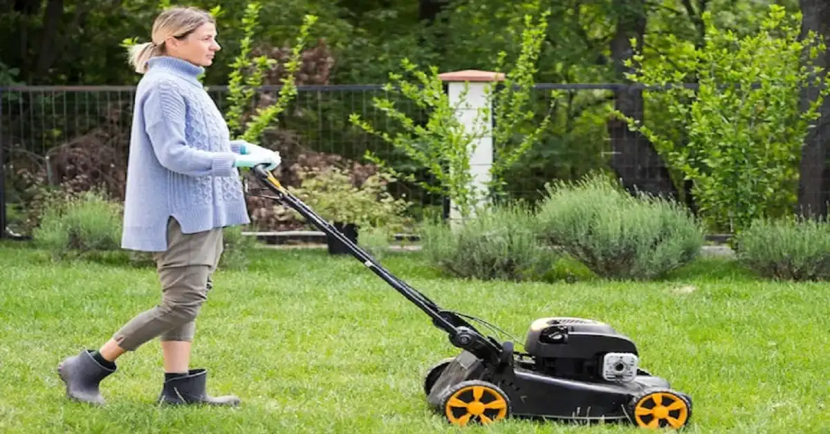 Mastering Lawn Care: Your Complete Guide to a Thriving Green Space